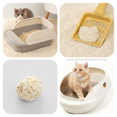 Zähflüssiger organischer Guar-Gummi Cat Litter Clumping Agent Basics